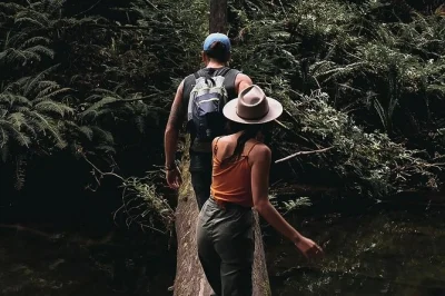 Feel the wind at the 12 apostles, walk ancient otway forests, spot koalas and parrots with a local guide. small group tour from melbourne with lunch included.