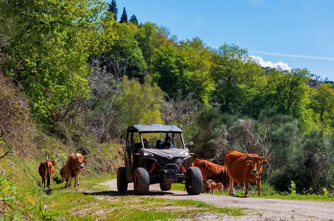 ATV Riding in Braga: Mountain & Forest Off-Road