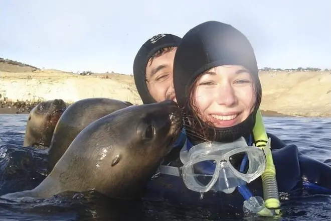 Snorkel con lobos marinos en Puerto Madryn