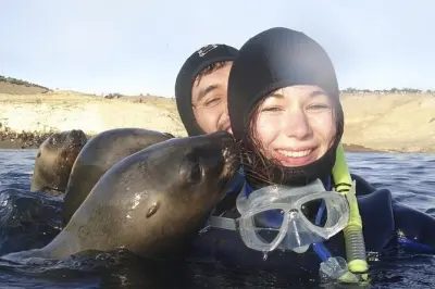 Snorkel com leões marinhos em Puerto Madryn
