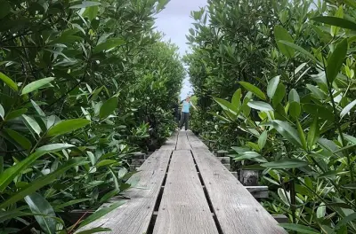 Kampot Countryside Tour: Pepper Farm, Salt Lake & Caves