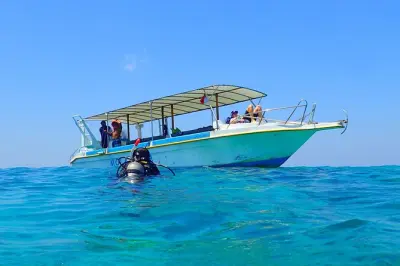 Plongée à l'île Menjangan : 2 plongées avec guide certifié
