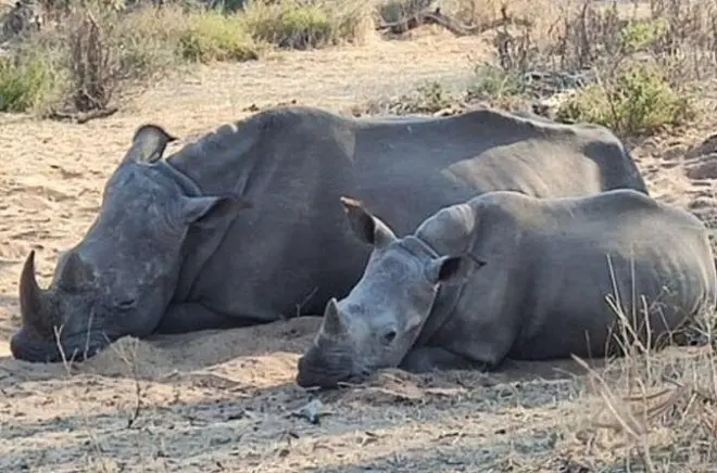 Rhino Walking Safari Livingstone: Mosi-oa-Tunya on foot