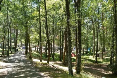 Lamas de mouro, baumklettern und 8 hängebrücken entdecken. 10 meter hoch klettern und mit 80 metern riesenrutsche durch den wald sausen – sicher begleitet.