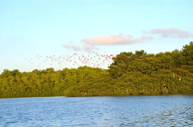 Trinidad norte: Tour eco-cultural com pôr do sol dos guará