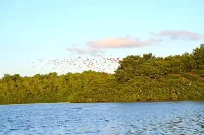 Trinidad nord : Coucher de soleil sur l’ibis rouge et éco-culture