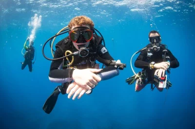 Erlebe dein erstes schnuppertauchen auf kauai mit erfahrenen padi-tauchlehrern. kleine gruppen, meeresschildkröten hautnah und komplette ausrüstung inklusive. direkt bei dive kauai buchen.