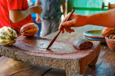 Watch beans roasting, taste fresh chocolate and sugar cane juice in monteverde. wheelchair accessible tour with certified guide, tastings and all-weather trails.