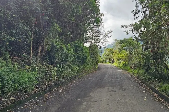 Transfer von Quito zum Mashpi Amagusa Reserve: 3 Stunden Fahrt