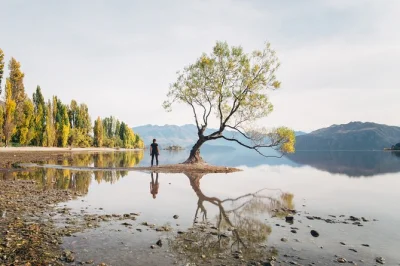 Feel the charm of arrowtown’s gold rush streets and wanaka’s lakeside calm on a small group tour from queenstown. includes cardrona hotel drink, local guide, and pickup.