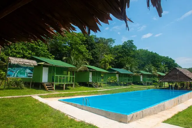 5 giorni nella giungla da Iquitos con lodge e torre Palo Alto