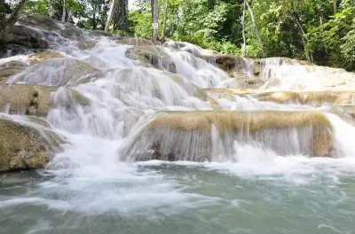 Bob Marley Nine Mile and Dunn's River Falls tour from Ocho Rios