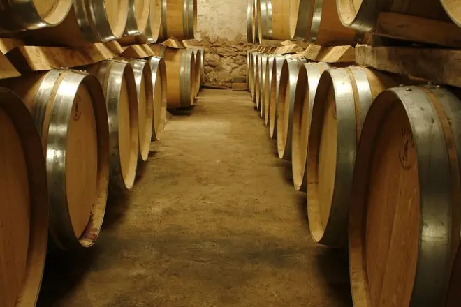 Tour privado de vinho na Provence: Degustações e visitas a vinícolas
