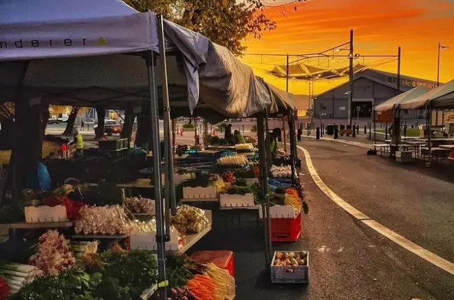 Hobart Highlights: Mount Wellington & Salamanca Market