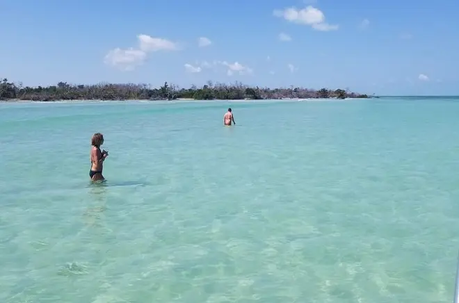 Plongée en apnée guidée dans les eaux du golfe et de l’Atlantique