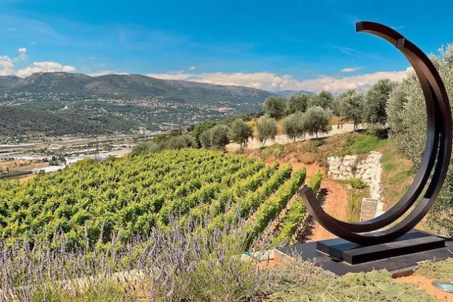 Dégustation de vins bio à Bellet Hill depuis Nice : Deux vignobles