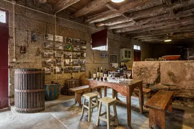 Dégustation de vins à Porto : Quinta familiale et Vinho Verde