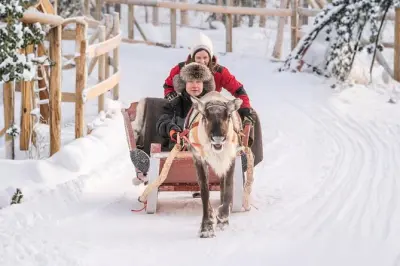 Reindeer Sled Ride Rovaniemi: Sámi Heritage & 2.5 km Sleigh
