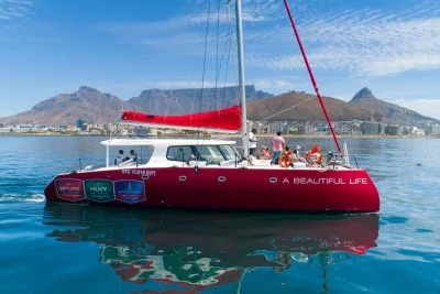 Profitez de la brise de l’atlantique lors d’une croisière en catamaran au départ du v&a waterfront à cape town, avec vue sur la montagne de la table, musique douce et observation de la faune ma