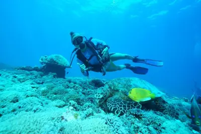 Snorkel en Nusa Lembongan con 2 inmersiones para principiantes