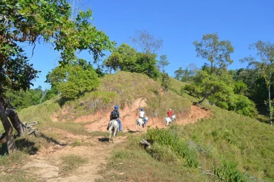 La fortuna, rancho típico don juan: reiten, dschungelwanderung, tierbeobachtung und traditionelles mittagessen mit blick auf den regenwald. inklusive abholung.