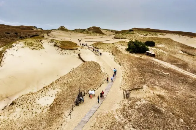 Cabo de Curlandia desde Klaipeda con guía privado, dunas y Nida