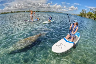 Erlebe die ruhigen wasserwege von jupiter bei einer geführten paddleboard-eco-tour mit einem naturführer – delfine und manatis inklusive. alles equipment und fotos sind dabei.