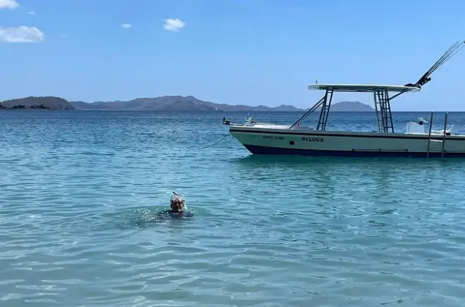 Schnorcheln am Flamingo Beach: Meeresschildkröten und Riff-Fische