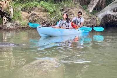 Feel the quiet thrill of paddling haulover canal with manatees, dolphins, and wild birds. includes kayak or paddleboard, small group guide, photos, and gear.