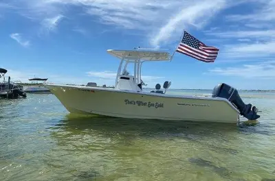 Madeira Beach private boat tour: Dolphins and Shell Key