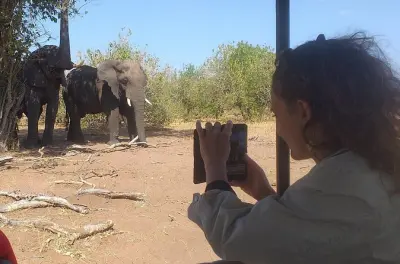 Safari elefanti a Victoria Falls: Incontro con la fauna di 2 ore