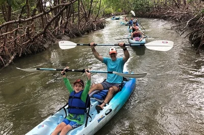 Erlebe die ruhe von rookery bay bei einer kayaktour durch mangroven, entdecke tiere mit einem biologen und erhalte fotos inklusive. für familien und alle erfahrungsstufen geeignet.