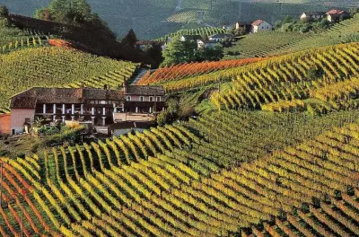 Tour privado de Turim: Degustação de vinho Barolo e visita a Alba