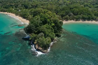 Snorkel en parque nacional Cahuita: Arrecifes de coral y caminata