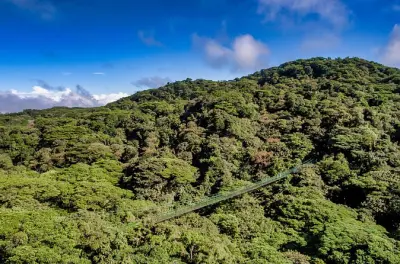 Monteverde: 8 pasarelas colgantes entre las copas de árboles
