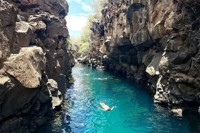 Snorkeling à Santa Cruz : Lions de mer et Shark Channel