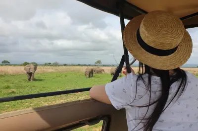 Safari privé au parc national de Mikumi depuis Dar es Salaam