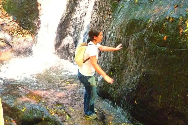 Geführte Wanderung im Atlantischen Regenwald bei São Paulo