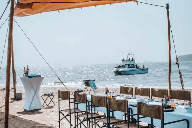 Croisière dauphins pelican point avec braai sur la plage et huîtres