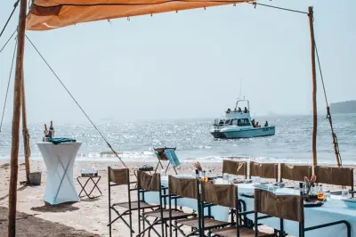 Crociera a Pelican Point con delfini, braai in spiaggia e ostriche