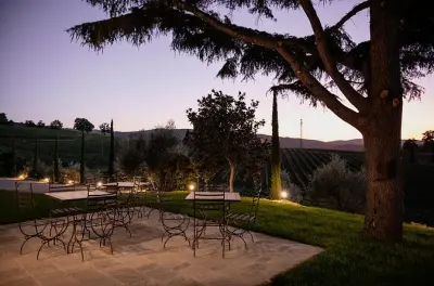 Montalcino: Degustação de Brunello e jantar toscano nos vinhedos