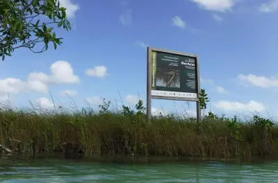 Sian Ka'an Biosphere e rovine di Muyil: Tour privato con guida