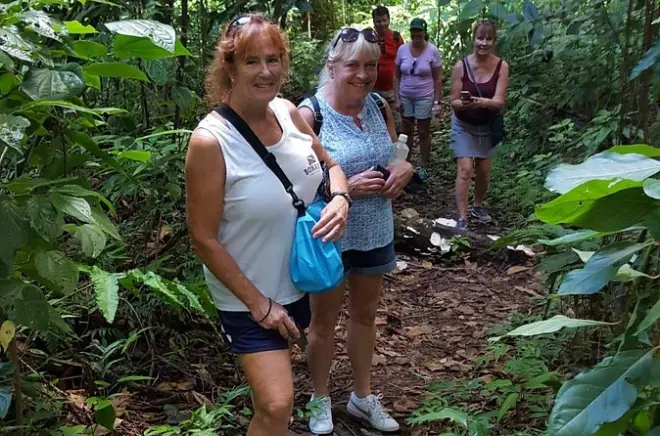 Tour por la selva de St Kitts de medio día: Monos verdes vervet