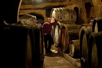 Dégustation de vins à Orvieto : Cave en tuf et trois vins