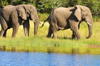 Akagera Nationalpark 2 Tage: Nachtsafari und Bootsfahrt Ihema