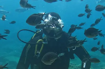 Scuba Diving in Protaras: Learn & Dive with Fish & Turtles
