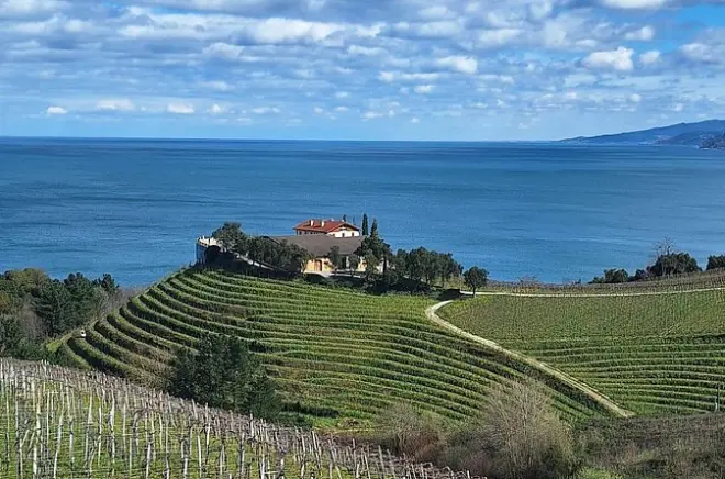 Visite du vin Txakoli depuis San Sebastian : Getaria et Talai Mendi
