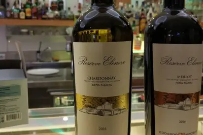 Bulgarian Wine Tasting in Varna: 4 or 6 wines with appetizers
