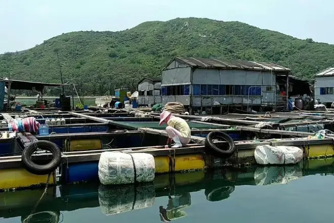 Vila de pescadores em Sanya com almoço de frutos do mar e praia