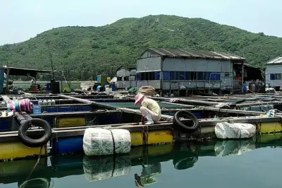 Vila de pescadores em Sanya com almoço de frutos do mar e praia